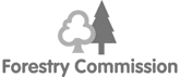 Nottingham UK England video and photography Page One client Forestry Commission