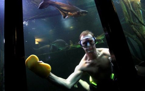fishy photography by Nottingham photographer for editorial use..