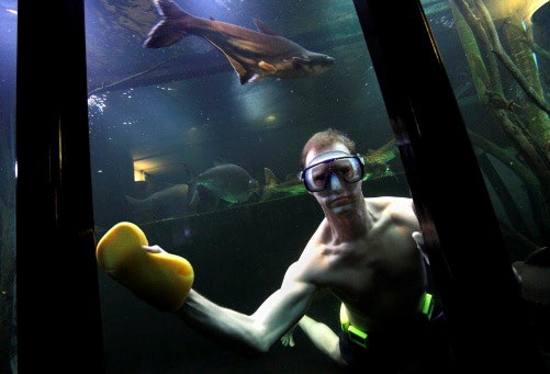 Fishy Photography in Nottingham by Editorial and corporate photographers Page One Working across England,