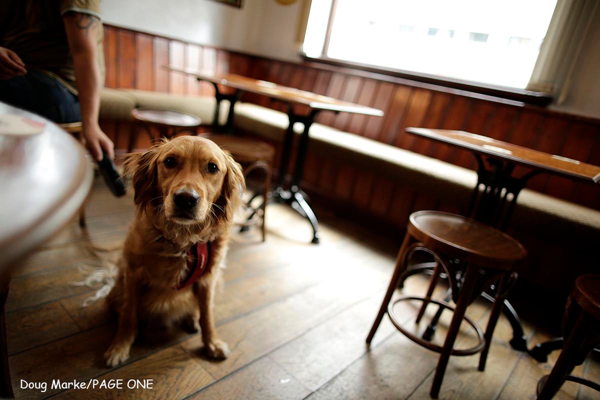 Mcc0064596. Sunday Telegraph. The Newshouse pub in Nottingham city centre. For Historic England piece. Doug Marke/Page One
