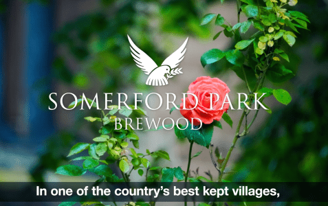 Village property development